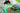 Happy Pet Voerbak Green Leaf Groen