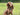 Fetch Tag Smart Pet Tag
