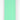 Morso Halsband Hond Waterproof Gerecycled Carribean Green Groen