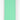 Morso Hondenriem Waterproof Gerecycled Carribean Green Groen