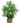 Zolux Ornament Pastic Plant Op Stenen Neutraal Assorti