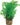 Zolux Ornament Pastic Plant Op Stenen Neutraal Assorti