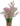 Zolux Ornament Pastic Plant Op Stenen Vrolijk Assorti