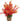 Zolux Ornament Pastic Plant Op Stenen Vrolijk Assorti
