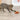 Trixie Eekhoorn Pluche Met Veerstaart Met Catnip