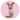 Honden voeding