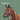 Paarden