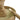 Rosewood Speelboom Voor Knaagdieren 40 Cm