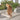 Trixie Kattenmand Plateau Vensterbank Lichtgrijs