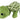 Trixie Schildpad Pluche