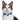 Croci Halsband Kat Met Tag Houder Lichtblauw