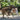 Morso Norwegian Hondentuig Gerecycled Full Metal Dog Bruin