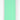 Morso Halsband Hond Waterproof Gerecycled Carribean Green Groen