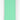 Morso Hondenriem Waterproof Gerecycled Carribean Green Groen