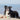 Trixie Ice Pop Roze 55 Gr