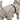Trixie Be Nordic Regenjas Husum Zand