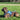 Zolux Easyride Hondentuig Blauw