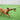 Happy Pet King Size Tug Flostouw