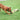 Happy Pet King Size Tug Flostouw