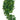 Komodo Plant Split Philodendron