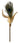 Croci Euphoria Kattenhengel Matatabi Pauwenveer - distak