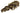Nature First Happy Pet Knaagspeeltje Mais Wilg - distak