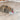 Trixie Cat Activity Solitaire - distak