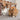 Trixie Set Sticks Met Luffa / Schorshout / Zeegras - distak